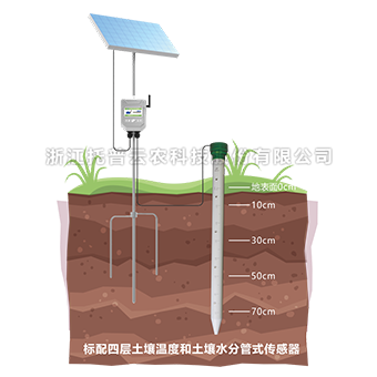 樱桃视频污在线看管式剖面水分仪TPGSQ-4