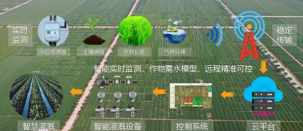 樱桃APP免费下载：以现代种业标准，助力制种大县建设任务