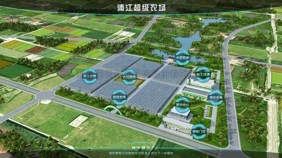 浦江超级农场：科技赋能让种植更高效