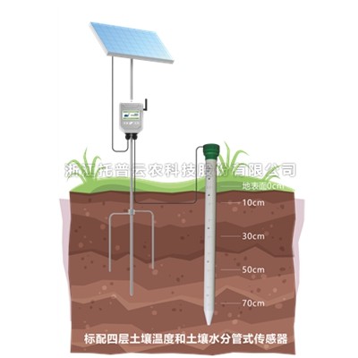 管式樱桃视频污在线看墒情监测站TPGSQ-4