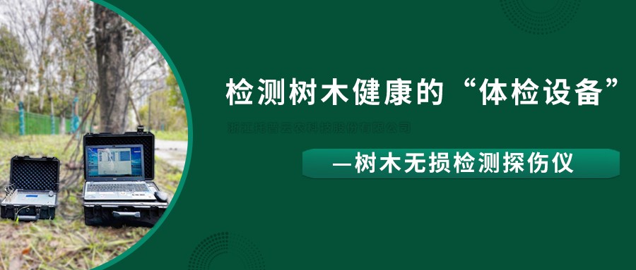 树木无损检测探伤仪精准检测树木健康状况，给出专业治疗方案