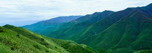智慧护林有妙招，看太子山如何用科技守护森林