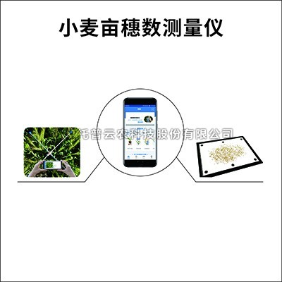 小麦亩穗数测量仪/系统：测量小麦亩穗数的育种测产仪器