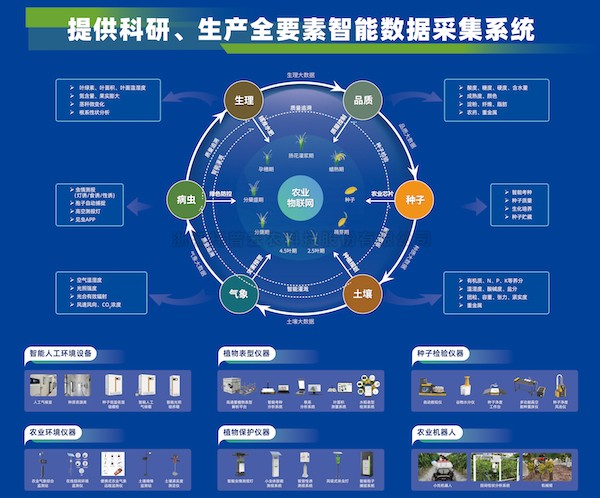 加速推动新质生产力发展，樱桃APP免费下载为建设农业强国注智赋能