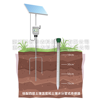 管式樱桃视频污在线看墒情监测仪详细介绍