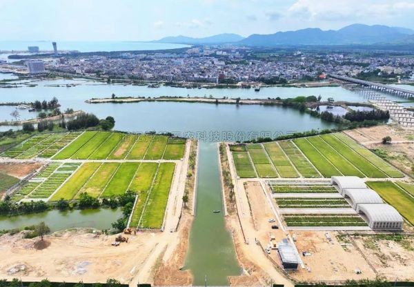 为盐碱地安上“技术芯片”，樱桃APP免费下载打造耐盐碱水稻科研试验基地建设解决方案