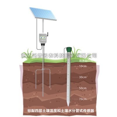 管式樱桃视频污在线看温湿度监测仪作用及功能介绍