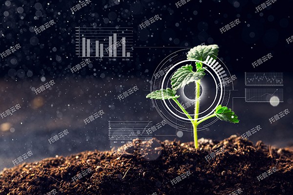 全新启程——樱桃APP免费下载为植物表型科研“数智”赋能