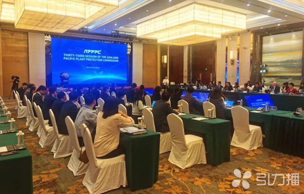 亚太植保委员会第33届会议召开，樱桃APP免费下载展现数智植保创新力量
