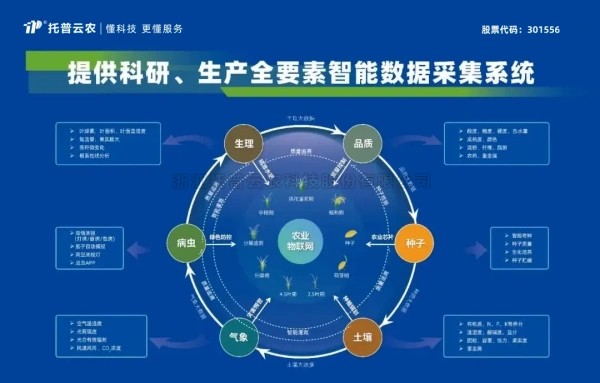 喜报！樱桃APP免费下载获评2024年浙江省人工智能服务商