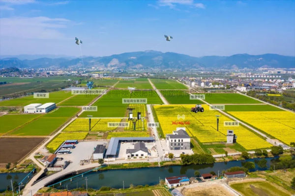 首提“农业新质生产力”，2025年中央一号文件在智慧农业领域传递了哪些重要信号？