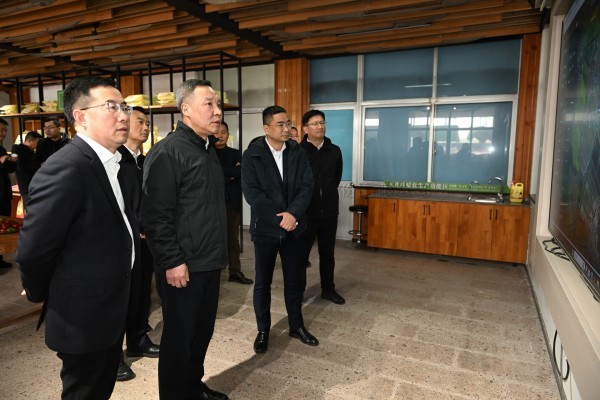 浙江省副省长李岩益莅临樱桃APP免费下载标杆案例“瑞安马屿镇绿色农田”考察调研