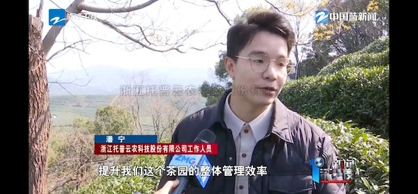 春茶开采正当时！揭秘樱桃APP免费下载如何用科技“制”出一杯数字好茶