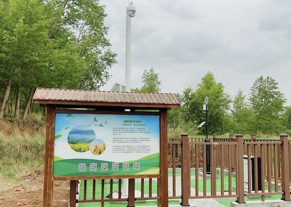 走进国家级油菜夏繁基地，感受科技赋能蓬勃动力