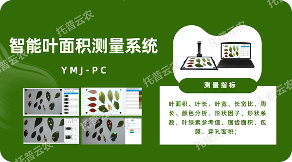 智能叶面积测量系统——秒级快速测叶片，多参数同步解析，云端数据好管理