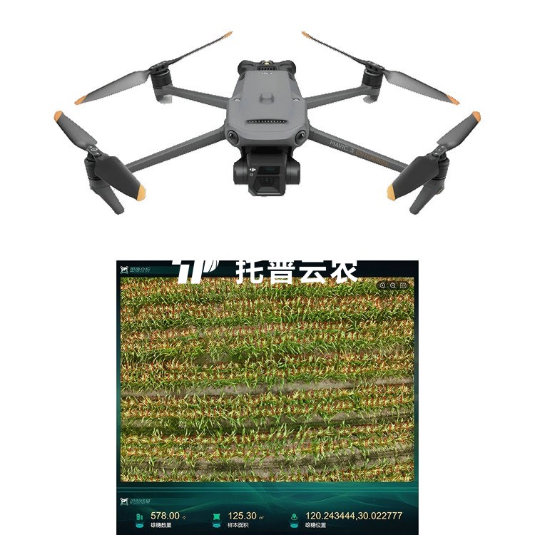 玉米表型生长监测系统TP-KJG-YM
