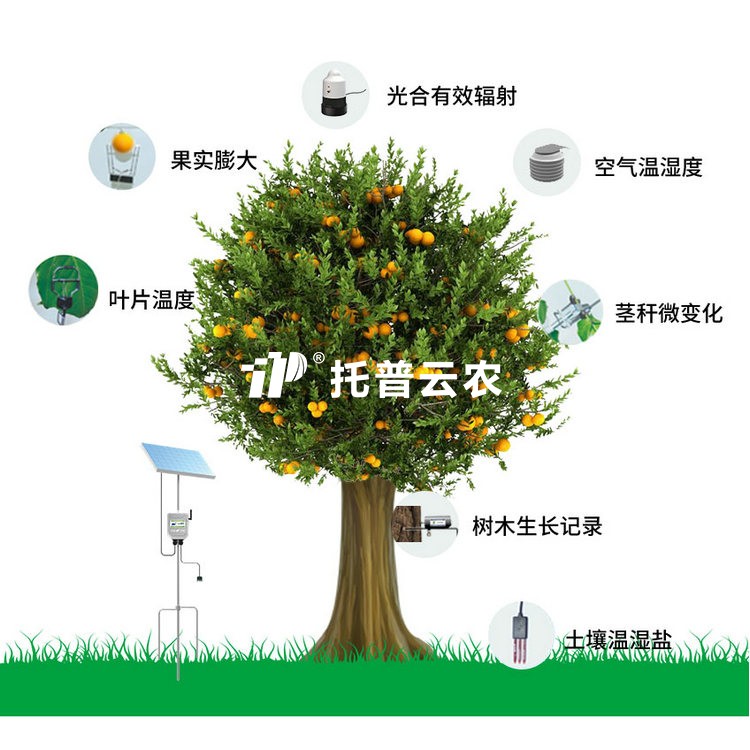 植物生理生态监测系统