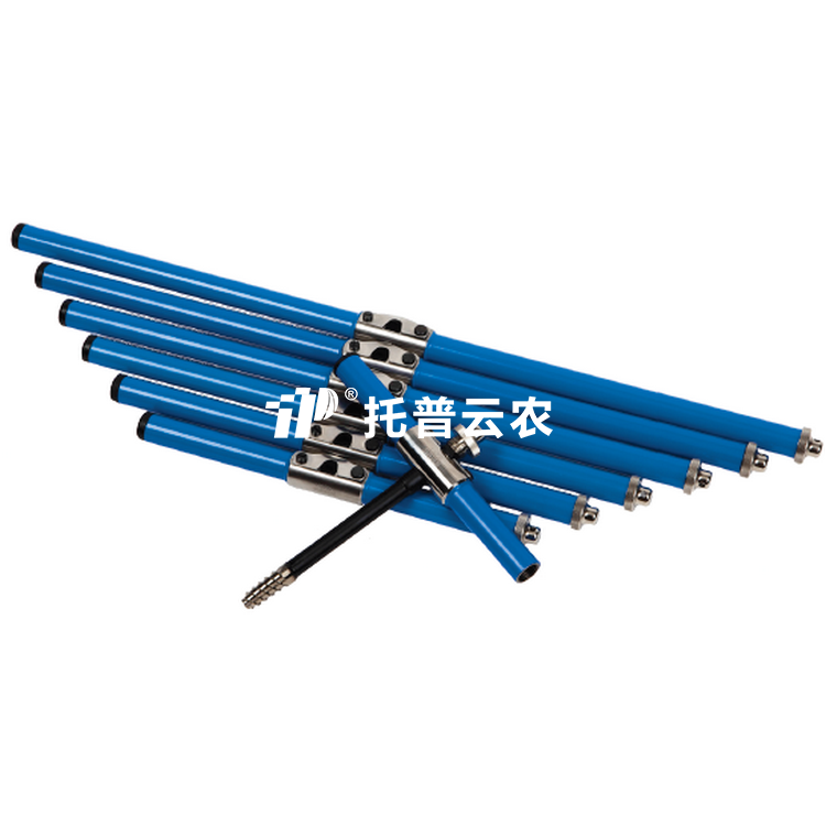 树木生长锥