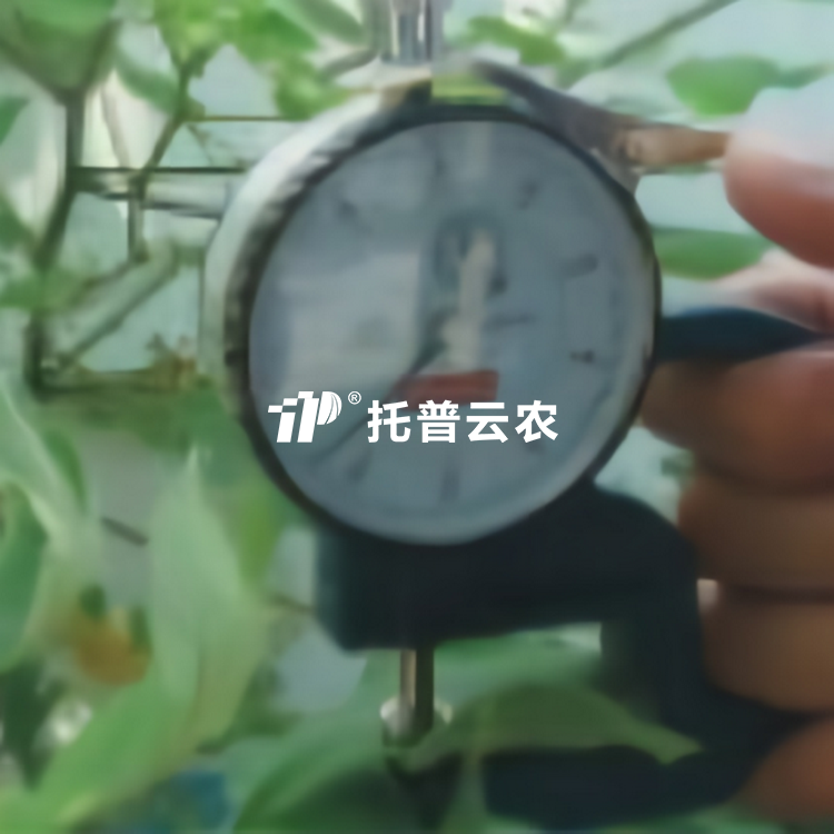 叶片厚度测定仪