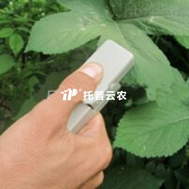 植物叶片温差测量仪 TPW-A