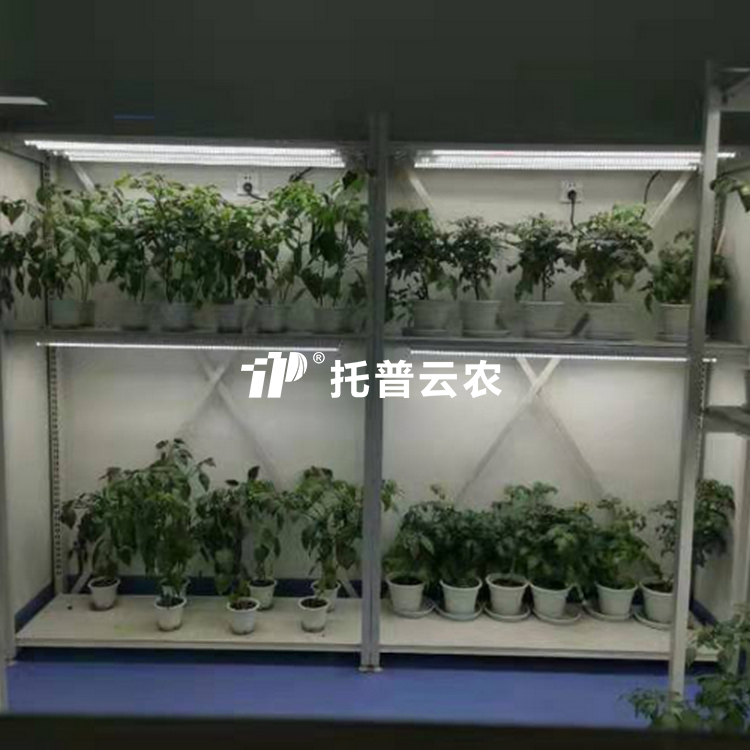植物病理研究室/