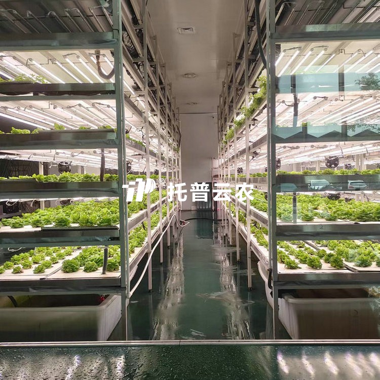 植物组培室 /