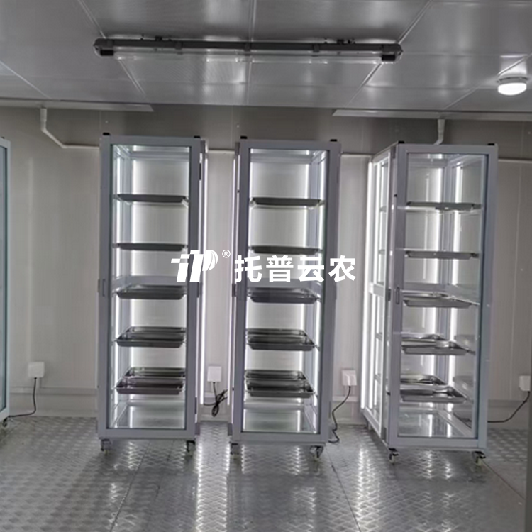 樱桃免费人成网站WWW发芽室 /