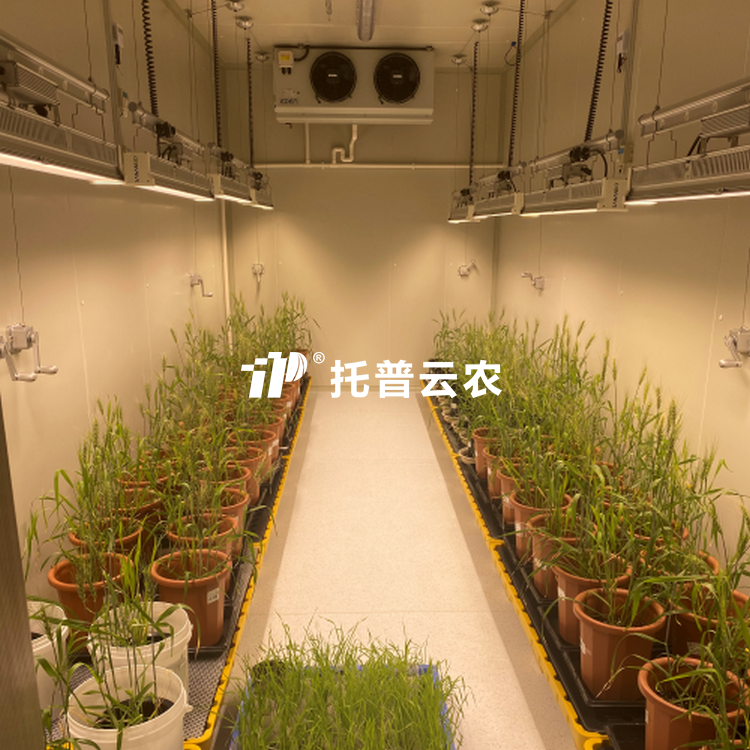 植物生长室/
