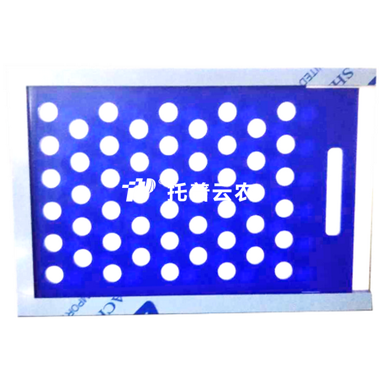 大粒樱桃免费人成网站WWW置床板SZ-3