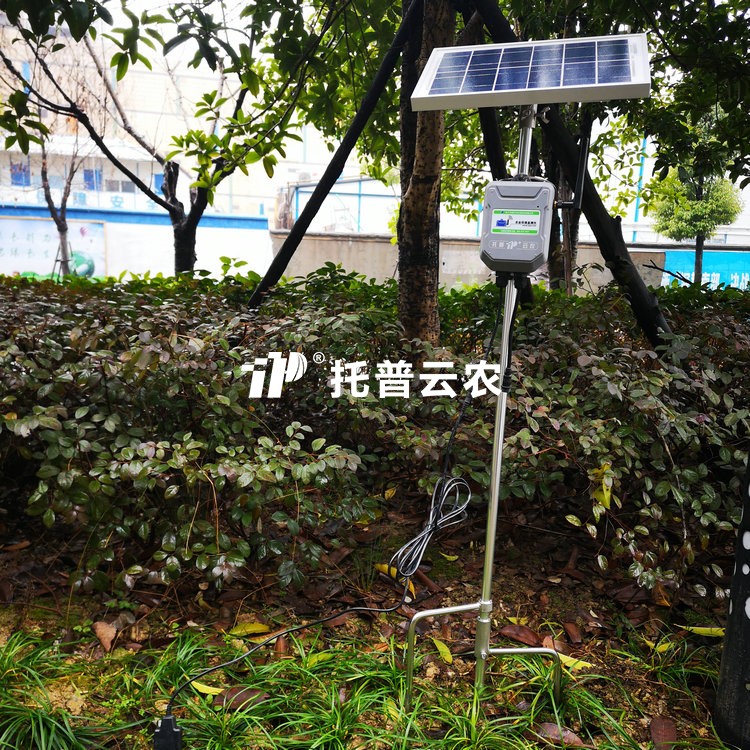在线樱桃视频污在线看水分温度盐分测定仪 TPFS-WSY系列