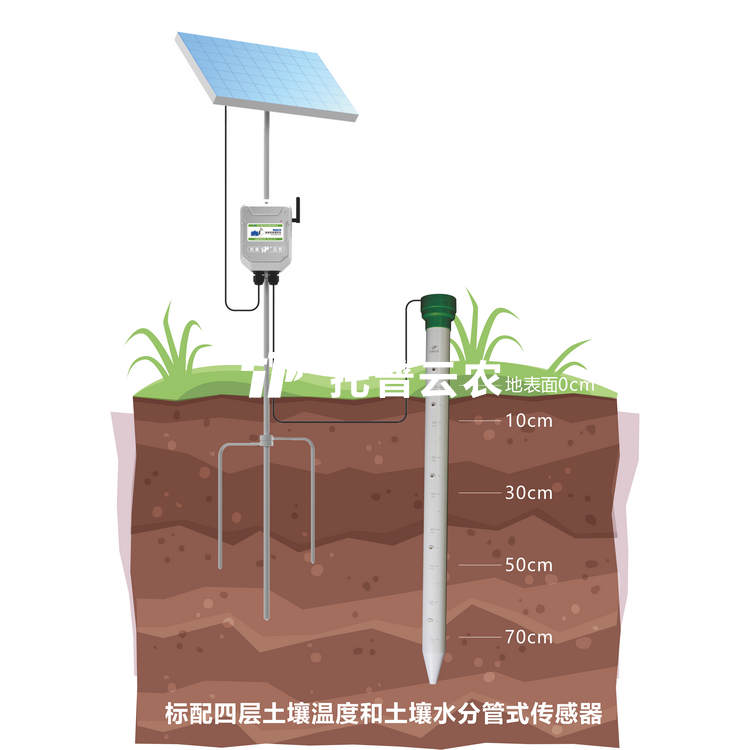 管式樱桃视频污在线看墒情监测仪TPGSQ-4