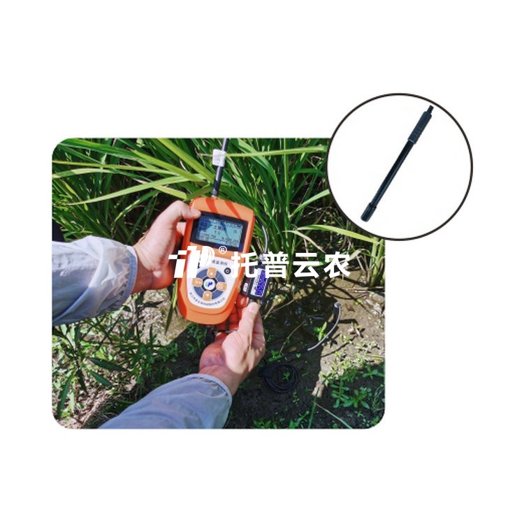 樱桃视频污在线看pH值测定仪TZS-pH-IIG