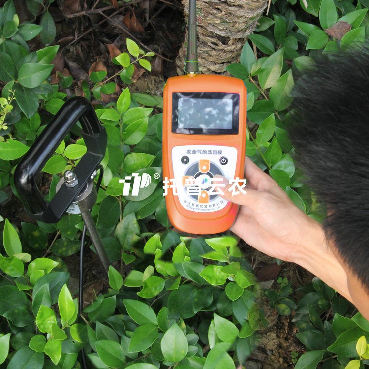 樱桃视频污在线看紧实度测定仪TJSD-750-II