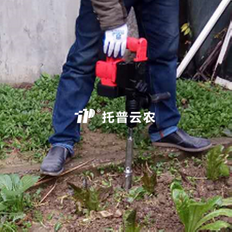 电动樱桃视频污在线看取样器 TPLQ-D1