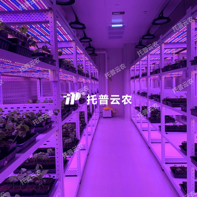 培养架型人工气候室介绍|培养架型人工气候室核心亮点有哪些？
