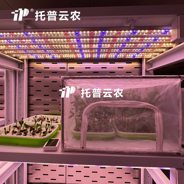 顶置光源人工气候室是什么？