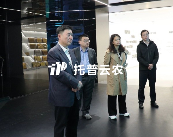 农业农村部大数据发展中心主任韩旭一行莅临樱桃APP免费下载调研交流