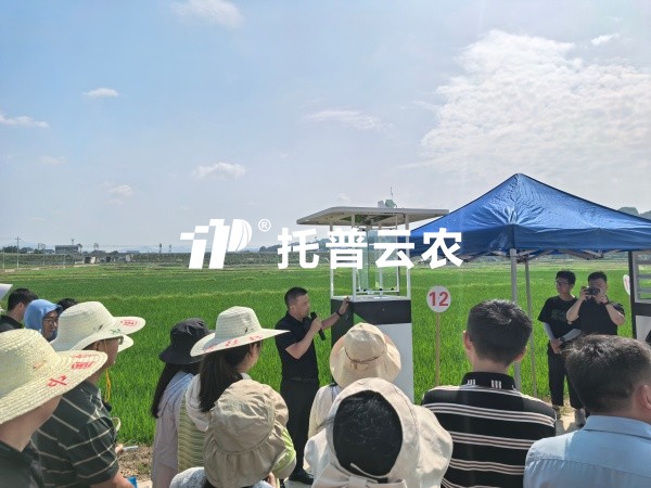 从“监测”到“智判”！樱桃APP免费下载智能（AI)虫情测报灯重磅发布，智慧植保迈入“智判”时代