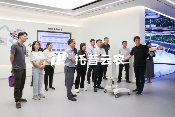 重庆市农业农村委副主任周松一行莅临樱桃APP免费下载调研