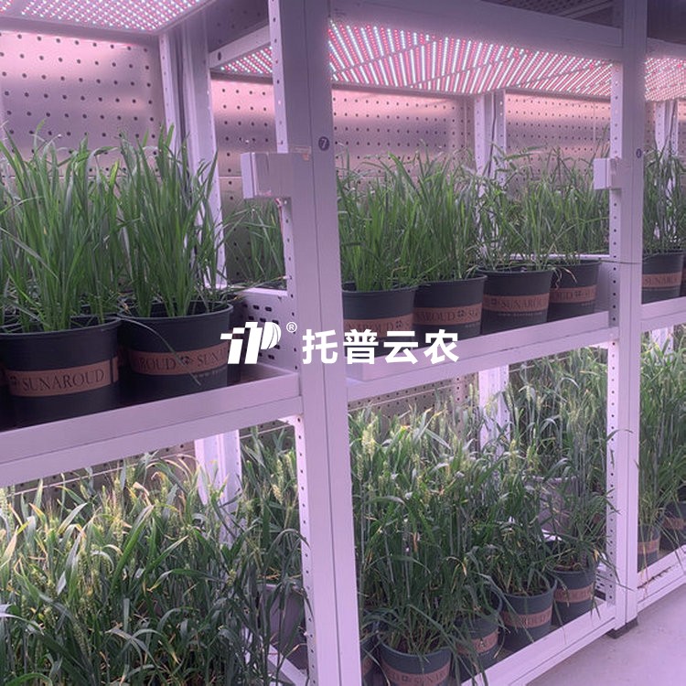 育种加代室 /