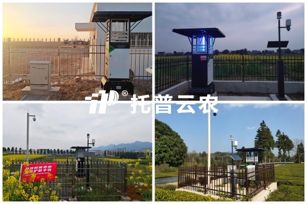 步履有归期，守护无终点｜樱桃APP免费下载2026智能装备巡检圆满收官