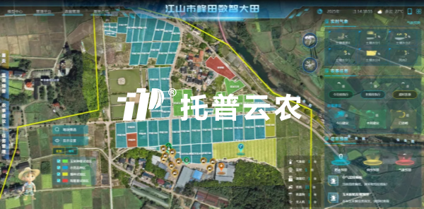 锚定“十五五”农业发展新政 樱桃APP免费下载以数智科技助力农业农村现代化