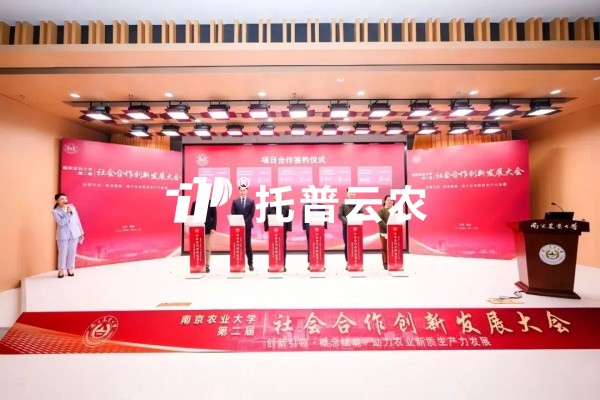 从“卡脖子”到“中国造”，樱桃APP免费下载高端光合作用测定仪的国产化突围
