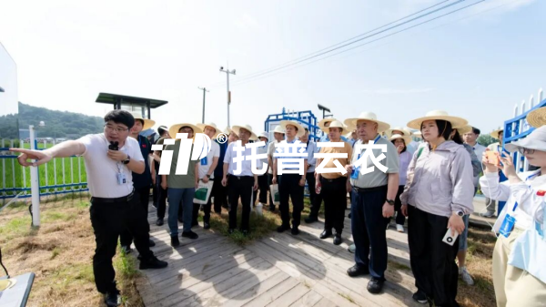 樱桃APP免费下载参加迁飞性害虫空地一体化监测阻截防控技术现场观摩会