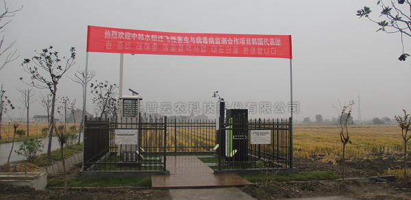 樱桃APP免费下载水稻病虫害绿色防控智能监测设备