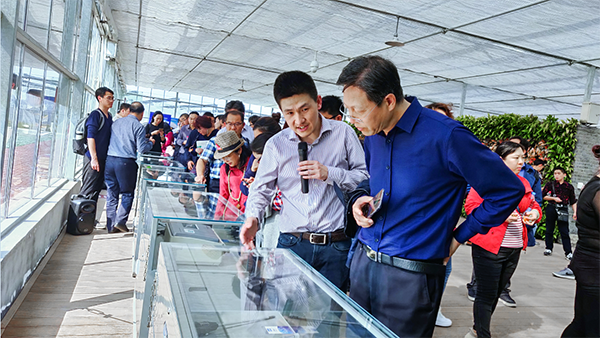 樱桃APP免费下载副总经理陈曦向培训班介绍托普智能终端