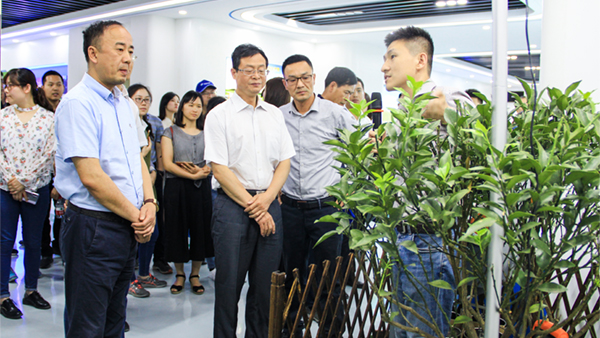 谢主任一行参观樱桃APP免费下载展厅