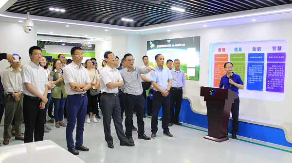 谢主任一行参观樱桃APP免费下载展厅