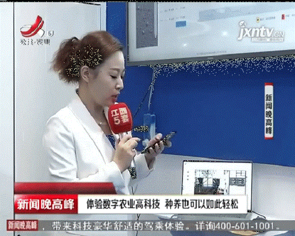 记者演示樱桃APP免费下载物联网设备的远程操控功能