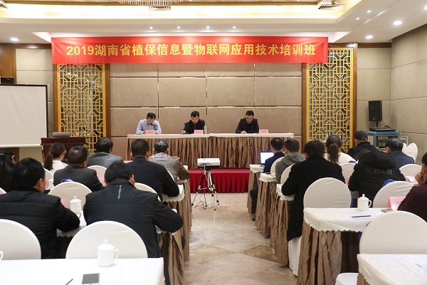 樱桃APP免费下载服务湖南省植保信息技术培训班在杭开班